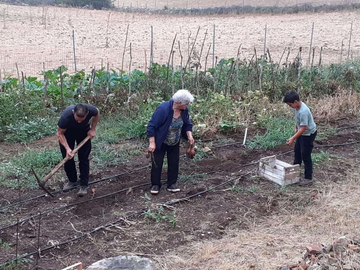 Agriturismo S'Armidda Seùlo المظهر الخارجي الصورة