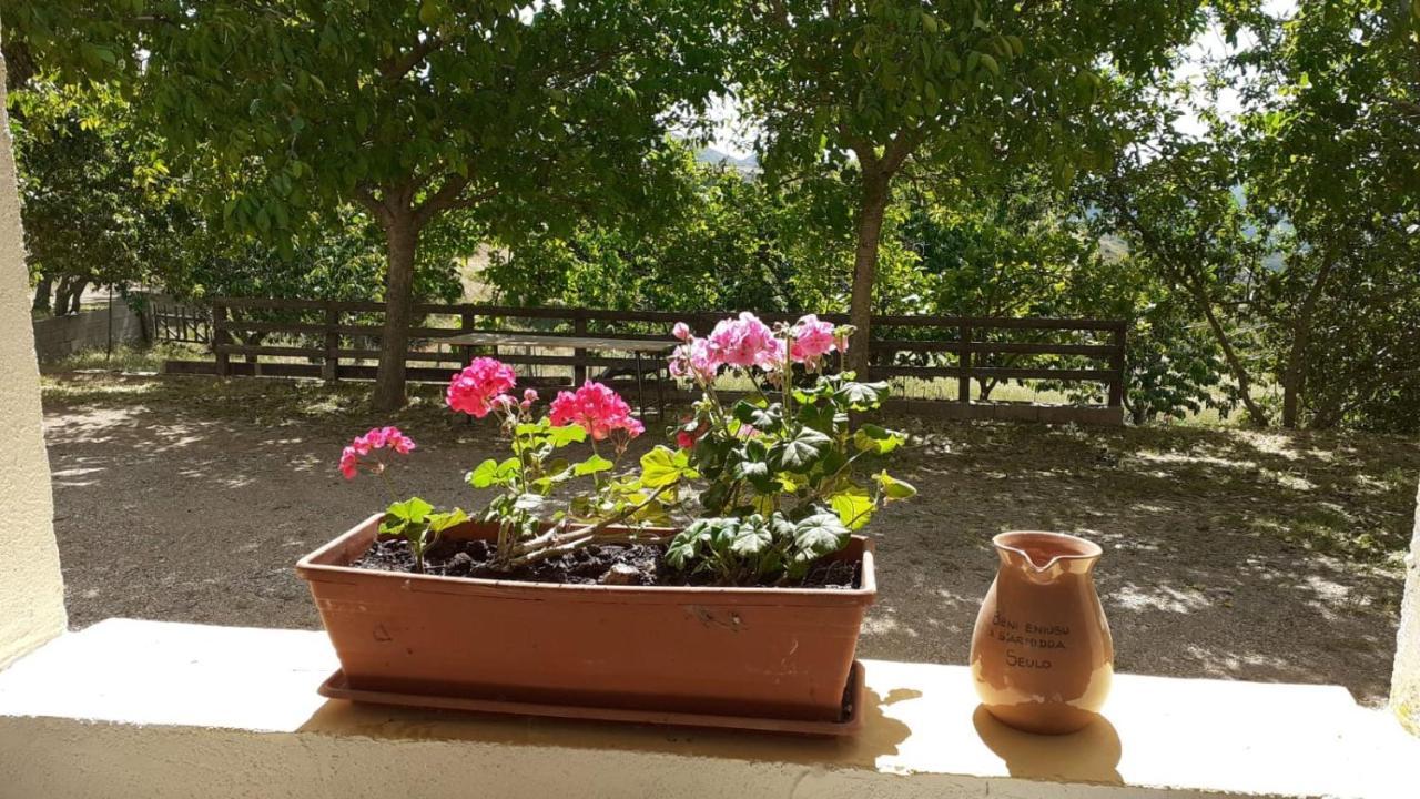 Agriturismo S'Armidda Seùlo المظهر الخارجي الصورة
