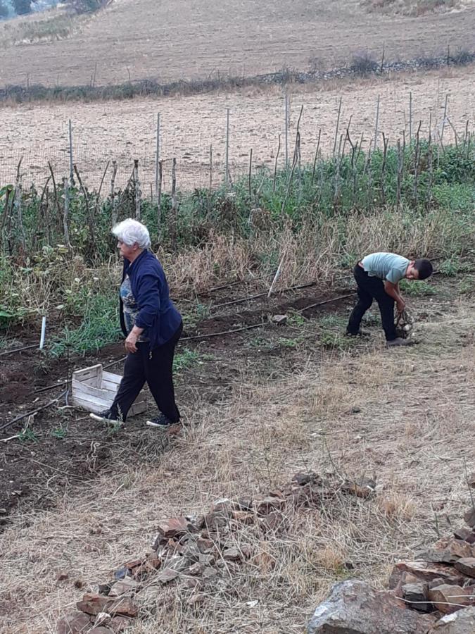 Agriturismo S'Armidda Seùlo المظهر الخارجي الصورة