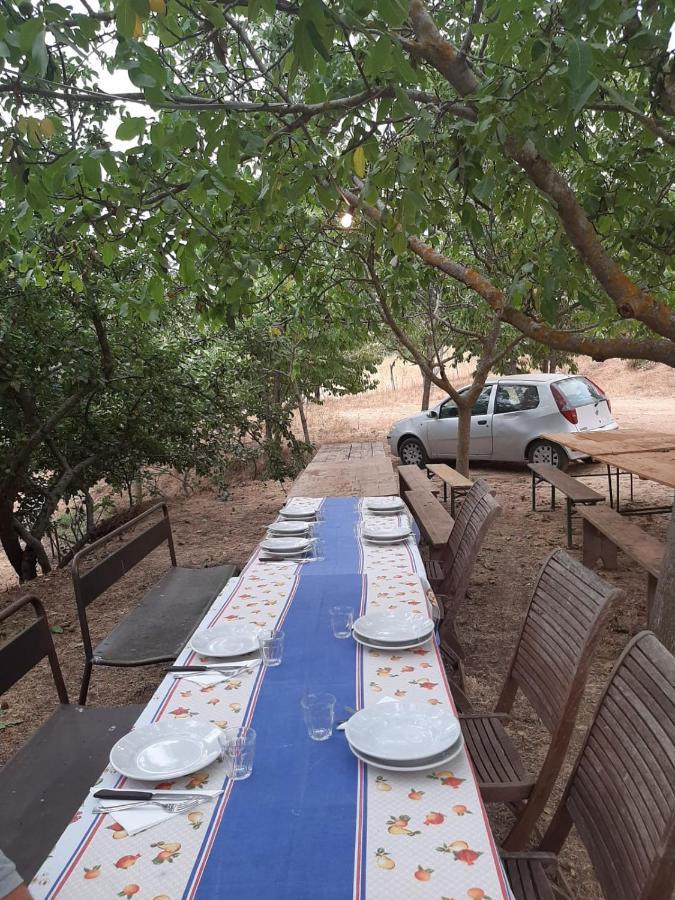 Agriturismo S'Armidda Seùlo المظهر الخارجي الصورة