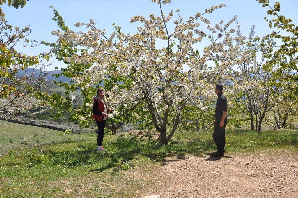 Agriturismo S'Armidda Seùlo المظهر الخارجي الصورة